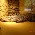 WYCIECZKA DO ZOO Z HANIĄ PRZEMKIEM SZYMKIEM I LIVIĄ