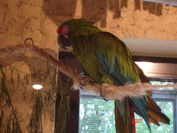 WYCIECZKA DO ZOO Z HANIĄ PRZEMKIEM SZYMKIEM I LIVIĄ