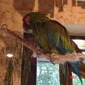 WYCIECZKA DO ZOO Z HANIĄ PRZEMKIEM SZYMKIEM I LIVIĄ