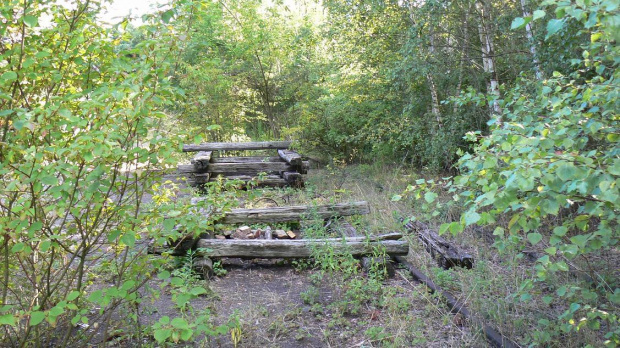 S-Bahn i Natur-Park Schöneberger Südgelände w Berlinie #Berlin