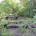 S-Bahn i Natur-Park Schöneberger Südgelände w Berlinie #Berlin