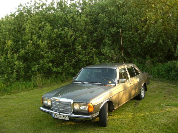 Mercedes W123 2.4d