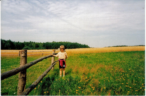 Jagoda na łące