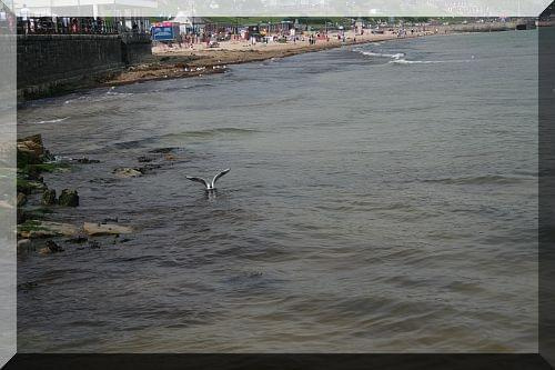 Swanage