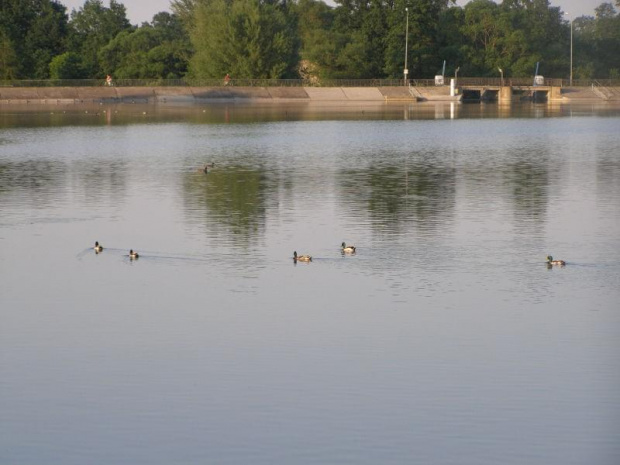 Park i nad zalewem