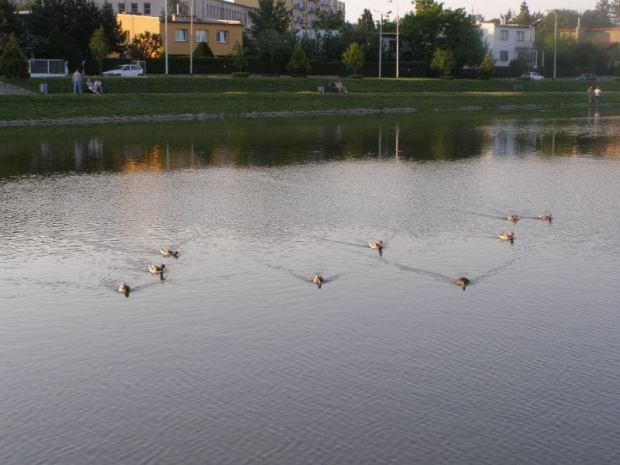 Park i nad zalewem