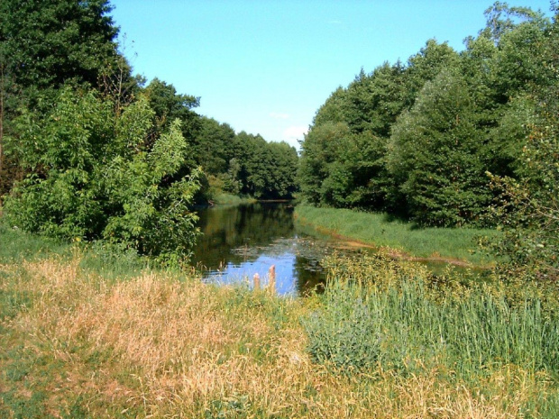 Bialoruś ...rzeczka i widoki