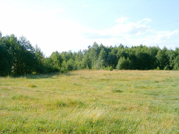 Bialoruś ...rzeczka i widoki