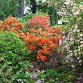 ARBORETUM w WOJSŁAWICACH