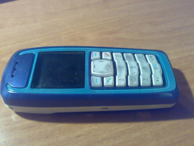 Nokia 3100