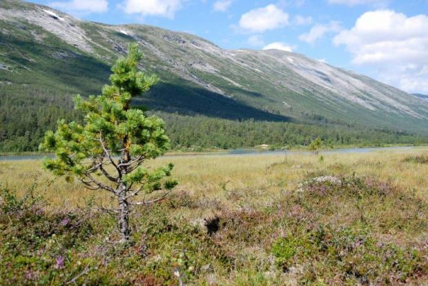 Piekna jest wczesna jesień w Norwegii