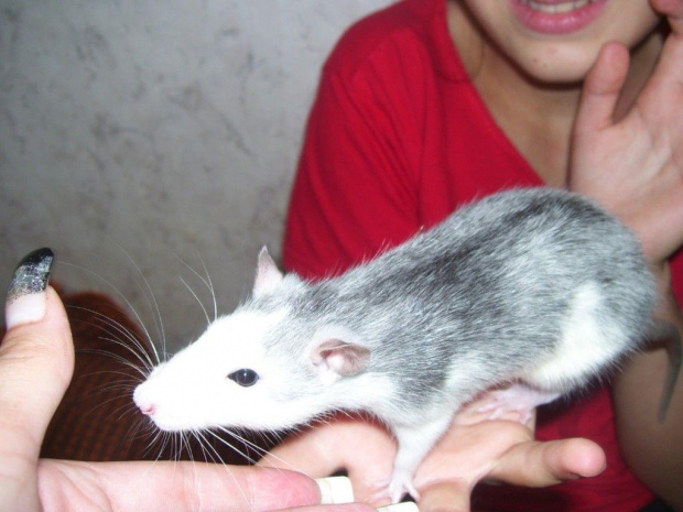 Missy cos wyczuła
