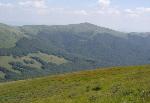 #Bieszczady #PołoninaWetlińska #Tarnica