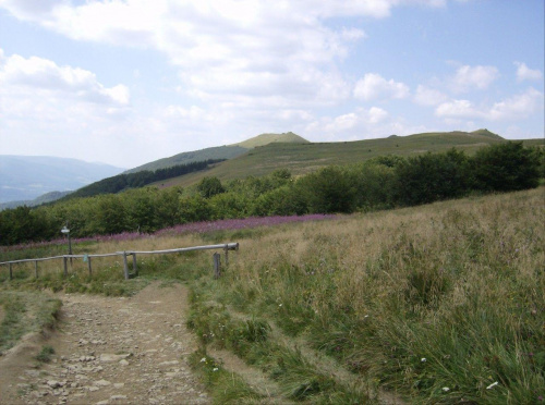 #Bieszczady #PołoninaWetlińska #Tarnica