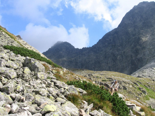 Zadnia Dolina Jaworowa #Góry #Tatry