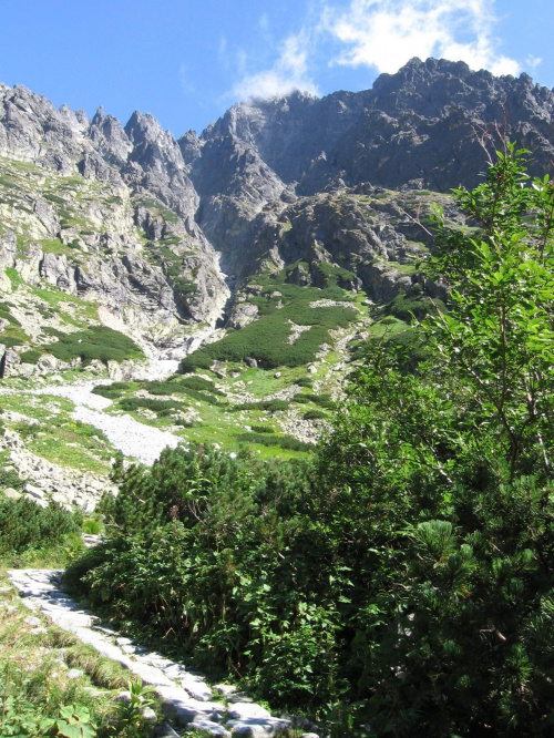 Dolina Małej Zimnej Wody. #Góry #Tatry