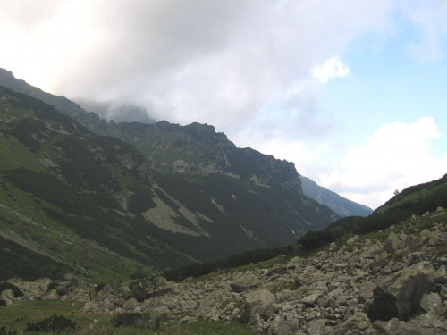 Dolina Jaworowa #Góry #Tatry