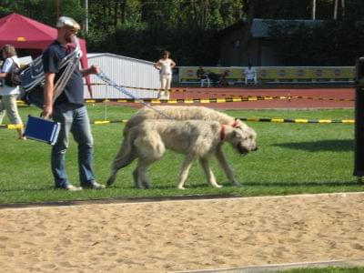 Wystawa międzynarodowa Białystok 25-26.08.2007 #wystawa