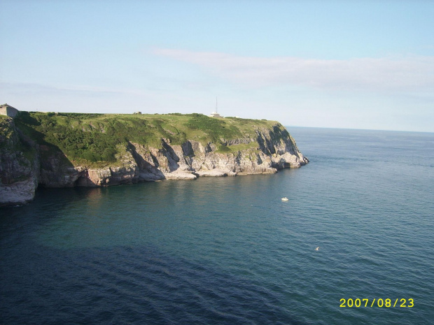 berry head