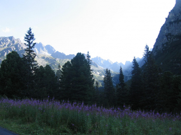 .W drodze do Popradzkiego Plesa. Widok na Dolinę Złomisk #Góry #Tatry