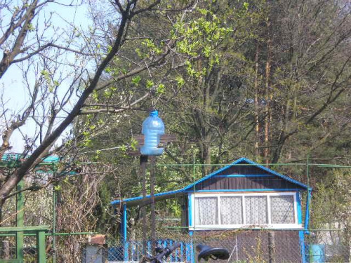 karmik dla ptaków i altana 3ego sąsiada oraz las. joł #działka