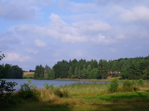 jezioro w Borowie #wieś #łąka #przyroda #natura