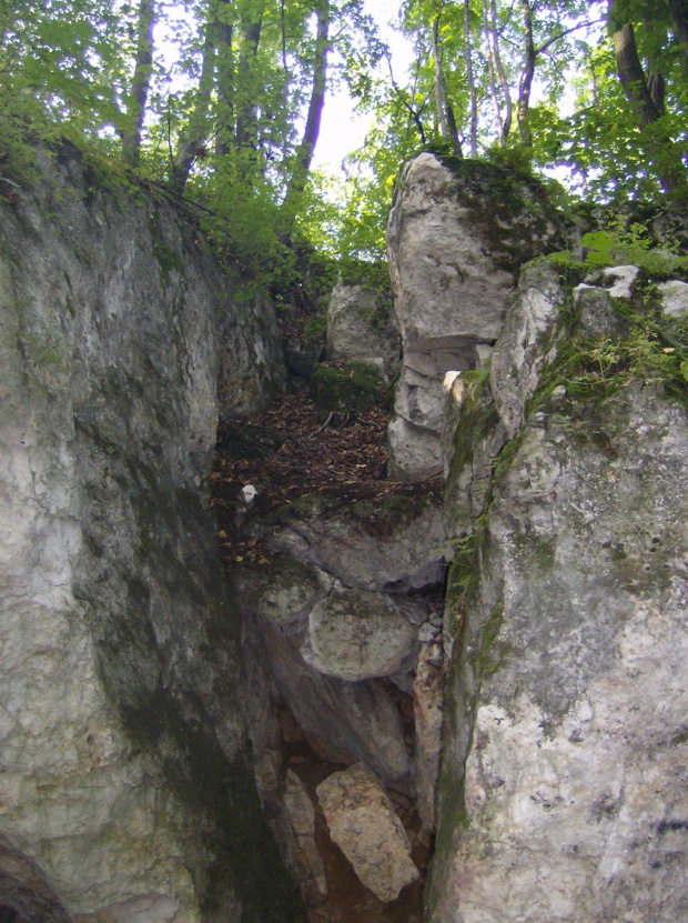 Kilka chwil w krainie elfów