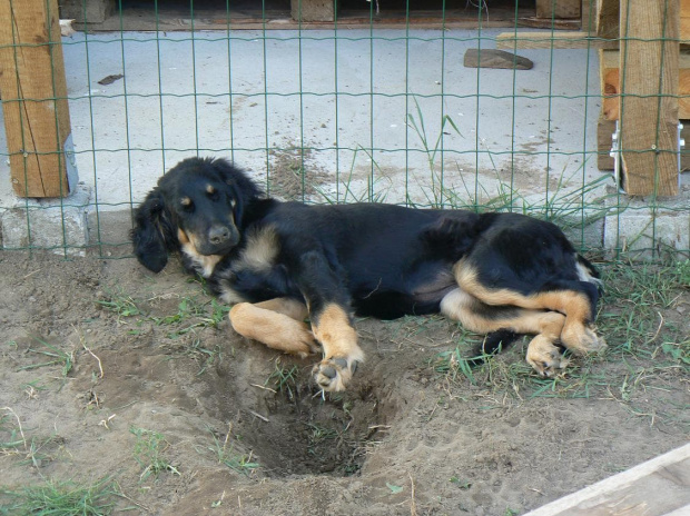 24.08.07 ja nie kopię dziur , śpię tu przypadkiem ;)