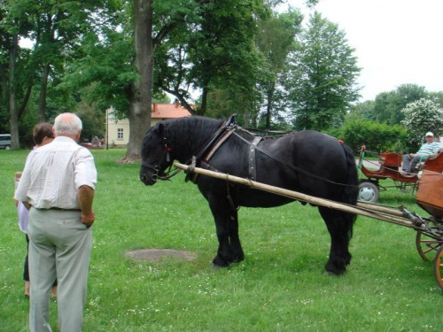 III Zajazd Wysokomazowiecki (9-10.06.07, Ciechanowiec)