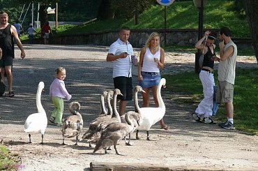 Wierzba #JezioroBełdany #PromBełdany #Wierzba #Mazury