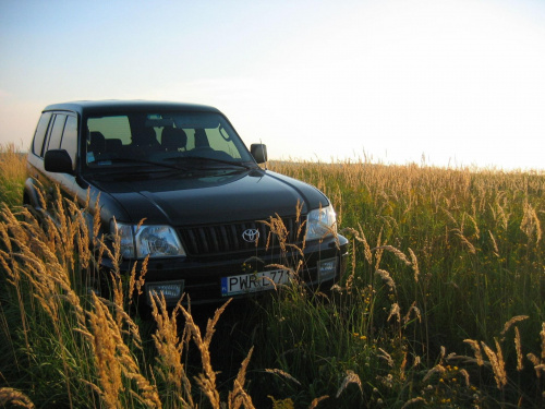 Land Cruiser 95