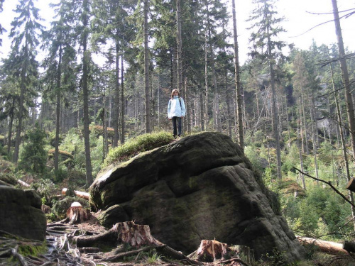 Ja na skałce #Skała #las #góry