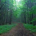 Beskid Niski