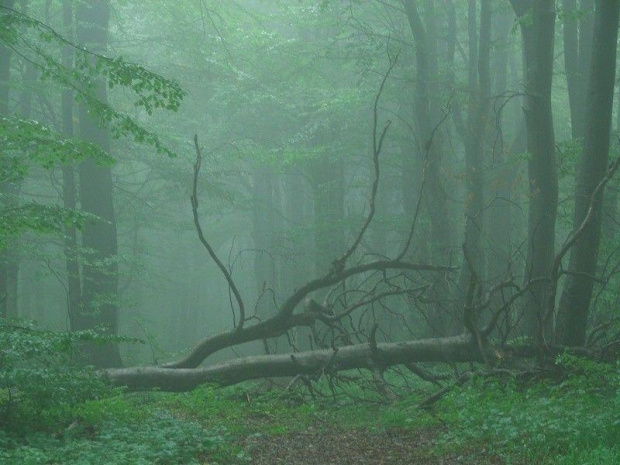 Beskid Niski