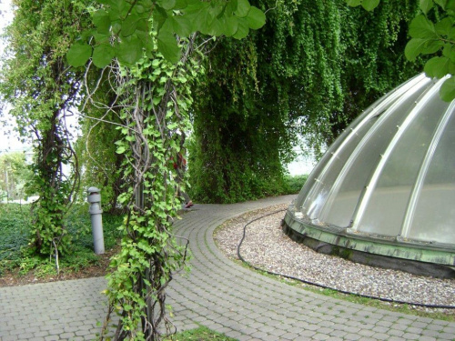 Wycieczka po przepięknym ogrodzie na dachu Biblioteki Uniwersytetu Warszawskiego #Biblioteka