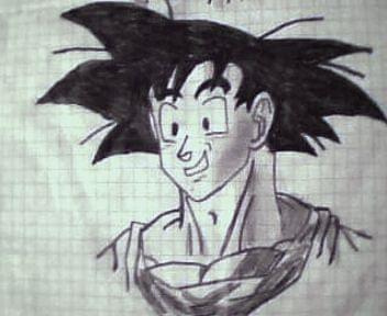 Son Goku...niestety kamerką internetową robione:P