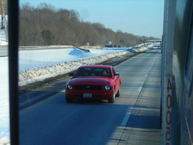 Mustang