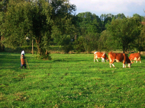 spokój...