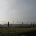 Drut kolczasy oddzielający poszczególne części obozu w Brzezince