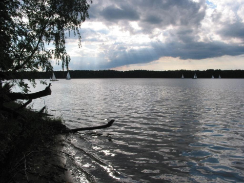 2007 - 08 - 16 Lipa, Wdzydze Tucholskie #jezioro #WdzydzeTucholskie