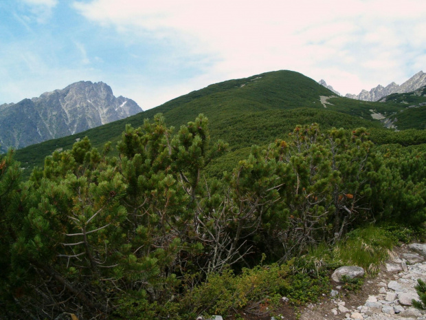 Sienna Kopa, w tyle Gierlach #Tatry #góry