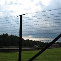 Drut kolczasty otaczający obóz w Sztutowie