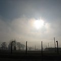 Słońce nad obozem w Brzezince