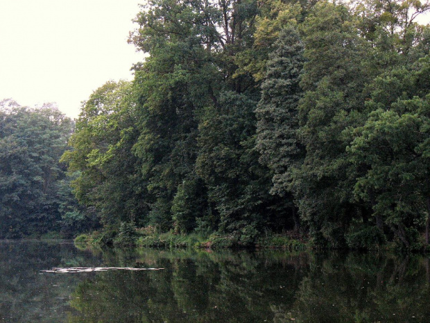 Zbiornik , Lisowice, Koluszki, przyroda #Zbiornik #Lisowice #Koluszki #przyroda