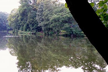 Zbiornik , Lisowice, Koluszki, przyroda #Zbiornik #Lisowice #Koluszki #przyroda