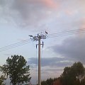Boćki na słupie