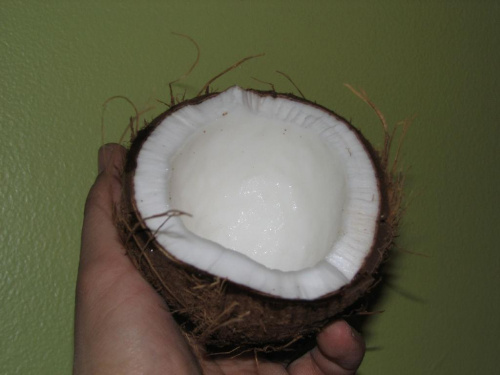 Eksperyment z kokosem