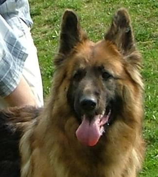 Kaja