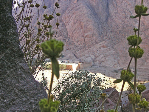 Egipt. Zejście z Góry Mojżesza. Widok na klasztor Sw. Katarzyny z drogi pątników.