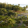 wędrowanie po Honolulu #miasto #Honolulu #roślinność #przyroda #CudaNatury #ptaki #Hawaje #USA